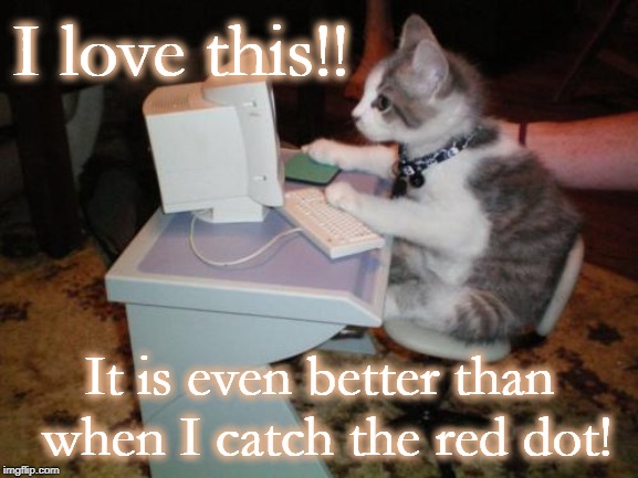 cat computer | I love this!! It is even better than when I catch the red dot! | image tagged in cat computer | made w/ Imgflip meme maker