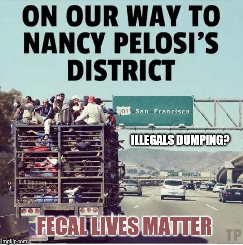 Fecal Matters | ILLEGALS DUMPING? FECAL LIVES MATTER | image tagged in nancy pelosi wtf,san francisco,illegal immigrants,toilet humor,sanctuary cities,the great awakening | made w/ Imgflip meme maker