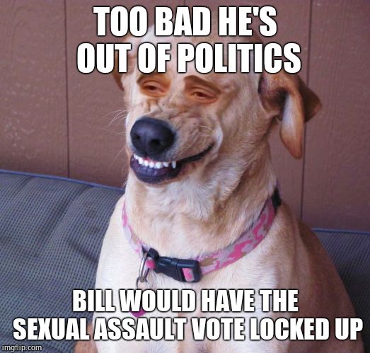 Dog smile | TOO BAD HE'S OUT OF POLITICS BILL WOULD HAVE THE SEXUAL ASSAULT VOTE LOCKED UP | image tagged in dog smile | made w/ Imgflip meme maker