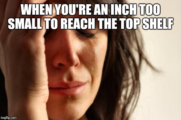 First World Problems | WHEN YOU'RE AN INCH TOO SMALL TO REACH THE TOP SHELF | image tagged in memes,first world problems,short people problems | made w/ Imgflip meme maker