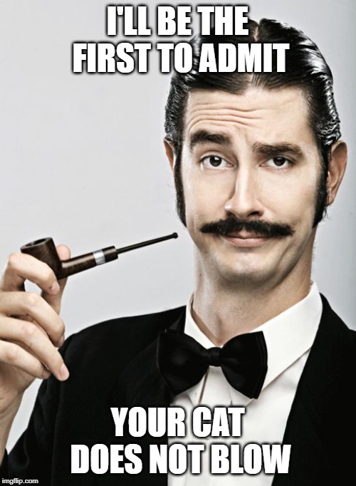 snob | I'LL BE THE FIRST TO ADMIT YOUR CAT DOES NOT BLOW | image tagged in snob | made w/ Imgflip meme maker