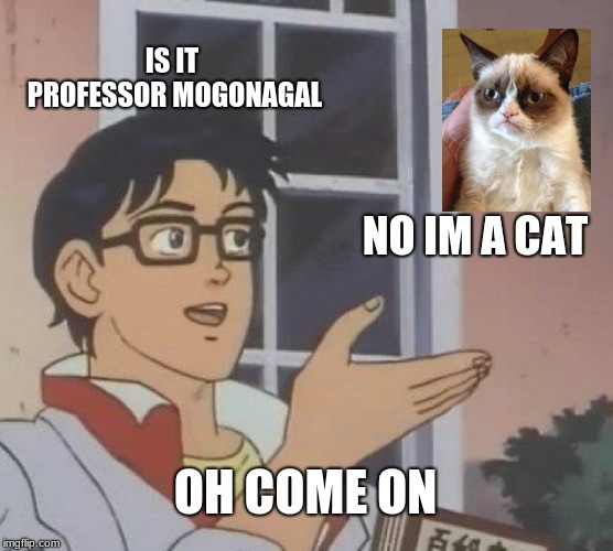 Is This A Pigeon Meme | IS IT PROFESSOR MOGONAGAL; NO IM A CAT; OH COME ON | image tagged in memes,is this a pigeon | made w/ Imgflip meme maker
