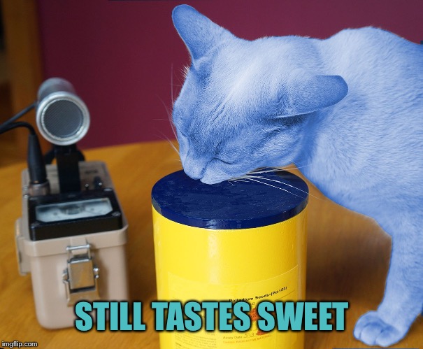 RayCat eating | STILL TASTES SWEET | image tagged in raycat eating | made w/ Imgflip meme maker