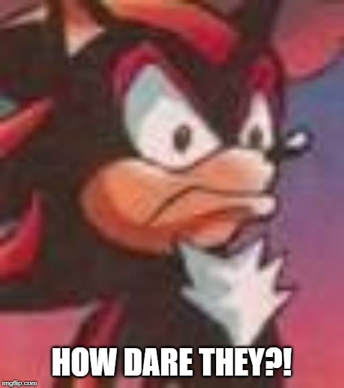 Shadow the Hedgehog | HOW DARE THEY?! | image tagged in shadow the hedgehog | made w/ Imgflip meme maker