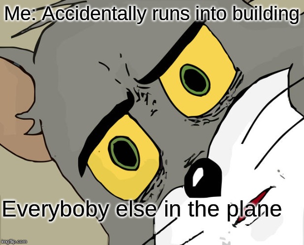 Unsettled Tom | Me: Accidentally runs into building; Everyboby else in the plane | image tagged in memes,unsettled tom | made w/ Imgflip meme maker