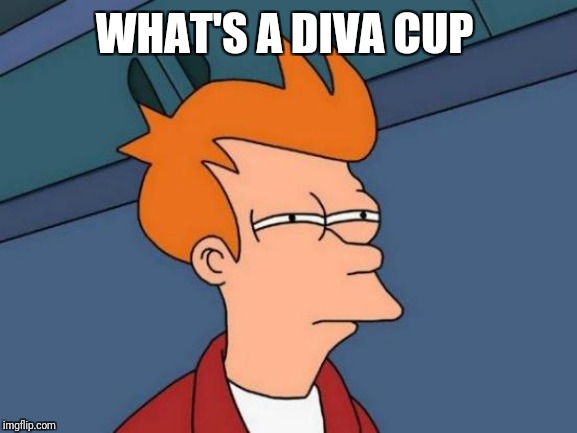 Futurama Fry Meme | WHAT'S A DIVA CUP | image tagged in memes,futurama fry | made w/ Imgflip meme maker