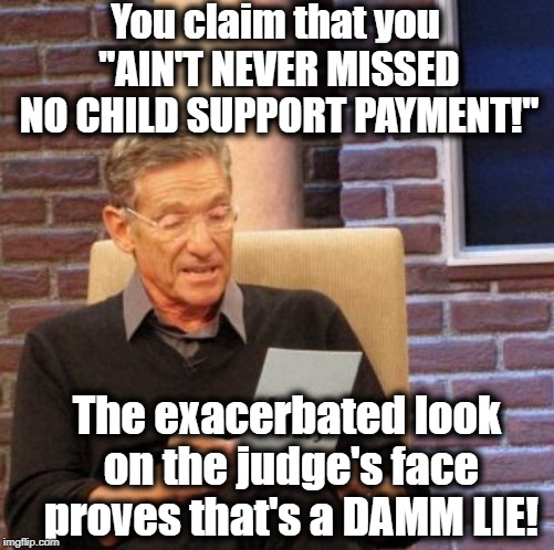 Maury Lie Detector | You claim that you "AIN'T NEVER MISSED NO CHILD SUPPORT PAYMENT!"; The exacerbated look on the judge's face proves that's a DAMM LIE! | image tagged in maury lie detector,deadbeat dad,lyin mofo,bs,lock him up | made w/ Imgflip meme maker