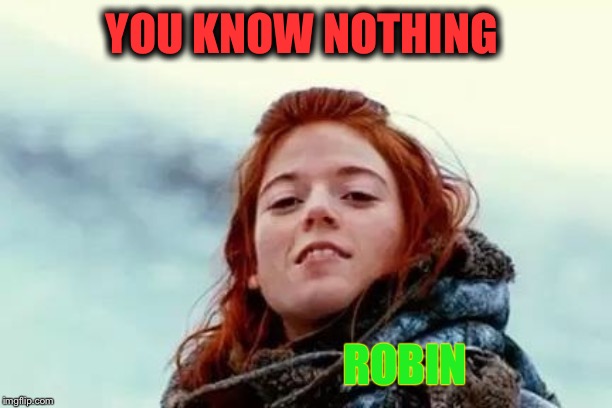 You know nothing | YOU KNOW NOTHING ROBIN | image tagged in you know nothing | made w/ Imgflip meme maker