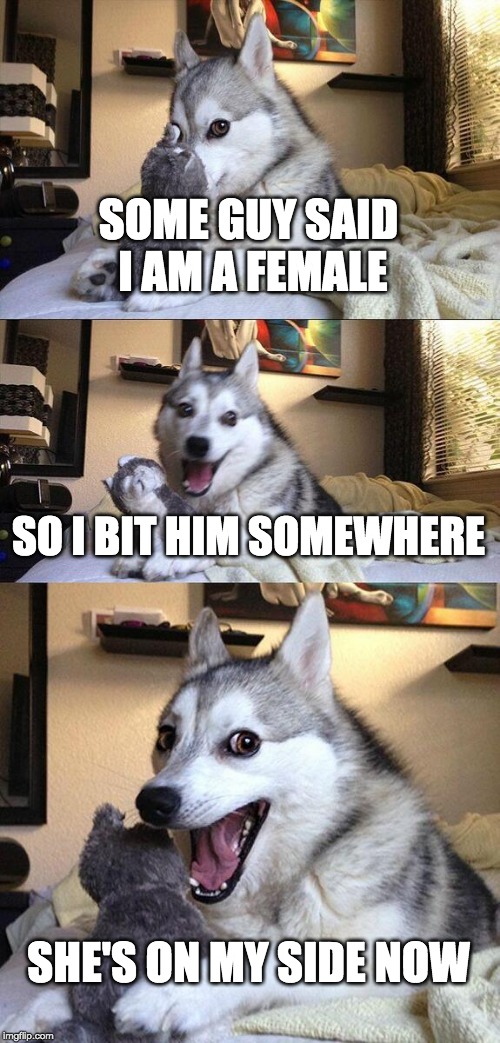 Bad Pun Dog Meme | SOME GUY SAID I AM A FEMALE; SO I BIT HIM SOMEWHERE; SHE'S ON MY SIDE NOW | image tagged in memes,bad pun dog | made w/ Imgflip meme maker