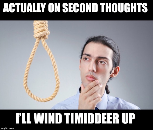 man pondering on hanging himself | ACTUALLY ON SECOND THOUGHTS I’LL WIND TIMIDDEER UP | image tagged in man pondering on hanging himself | made w/ Imgflip meme maker