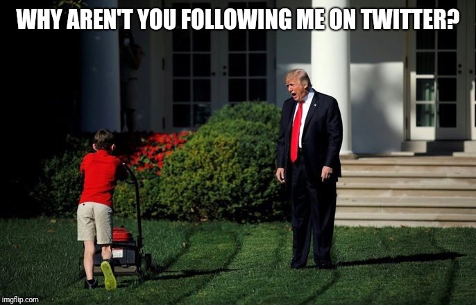 Trump Lawn Mower | WHY AREN'T YOU FOLLOWING ME ON TWITTER? | image tagged in trump lawn mower | made w/ Imgflip meme maker