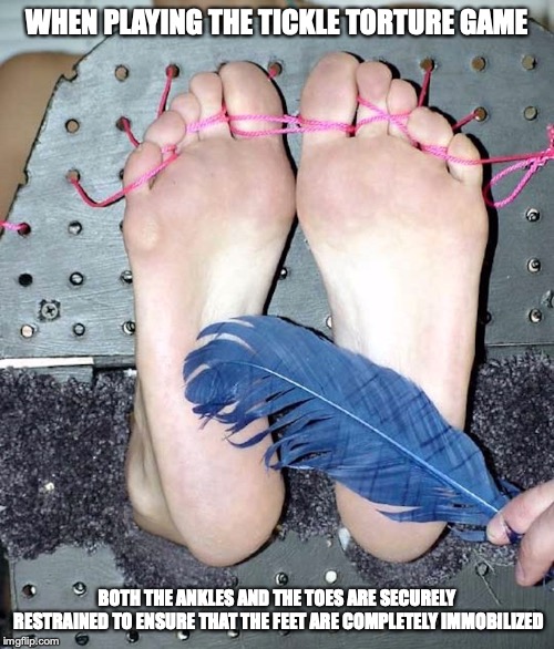 Foot Tickle Torture | WHEN PLAYING THE TICKLE TORTURE GAME; BOTH THE ANKLES AND THE TOES ARE SECURELY RESTRAINED TO ENSURE THAT THE FEET ARE COMPLETELY IMMOBILIZED | image tagged in foot,tickle,torture,memes | made w/ Imgflip meme maker
