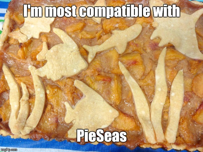PieSeas | I'm most compatible with; PieSeas | image tagged in memes | made w/ Imgflip meme maker