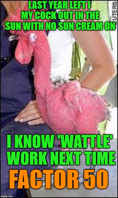 LAST YEAR LEFT I MY COCK OUT IN THE SUN WITH NO SUN CREAM ON I KNOW 'WATTLE' WORK NEXT TIME FACTOR 50 | made w/ Imgflip meme maker