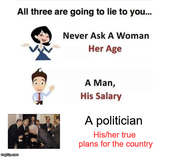 Sad, but it's the way it works! | His/her true plans for the country; A politician | image tagged in all three are going to lie to you | made w/ Imgflip meme maker