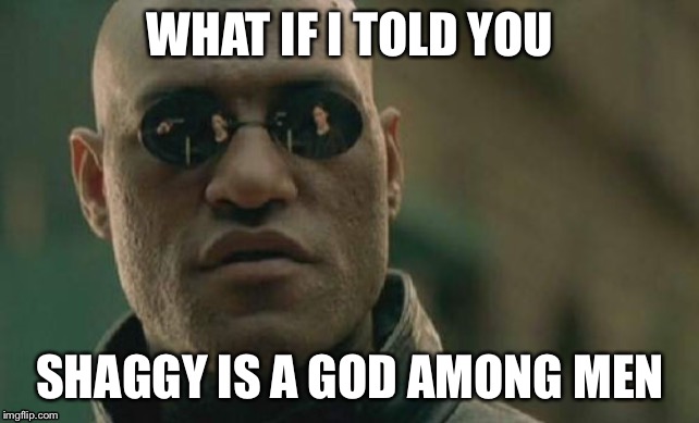 Matrix Morpheus Meme | WHAT IF I TOLD YOU; SHAGGY IS A GOD AMONG MEN | image tagged in memes,matrix morpheus | made w/ Imgflip meme maker
