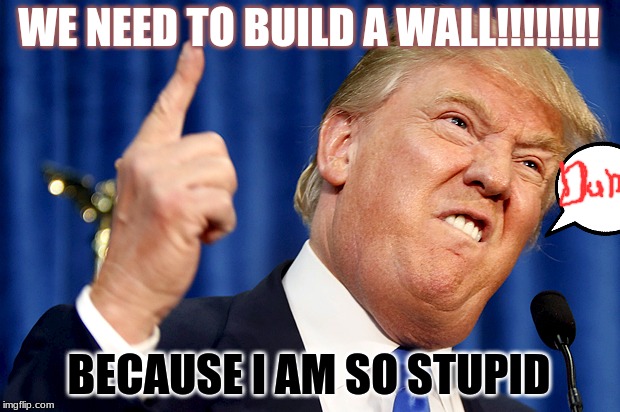 Donald Trump | WE NEED TO BUILD A WALL!!!!!!!! BECAUSE I AM SO STUPID | image tagged in donald trump | made w/ Imgflip meme maker