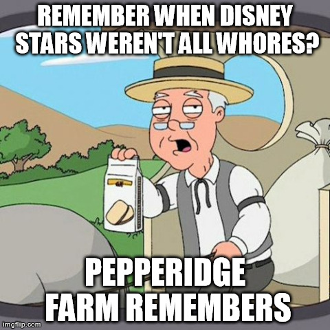 Pepperidge Farm Remembers Meme | image tagged in memes,pepperidge farm remembers | made w/ Imgflip meme maker