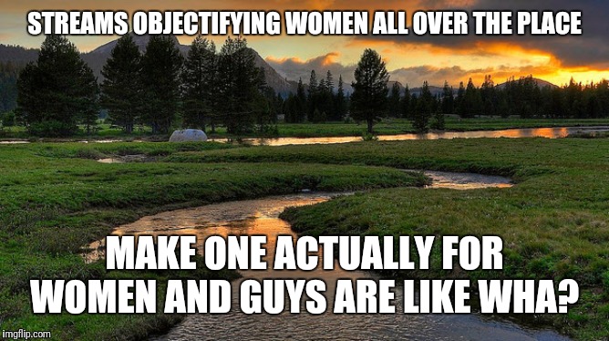 Streams | STREAMS OBJECTIFYING WOMEN ALL OVER THE PLACE MAKE ONE ACTUALLY FOR WOMEN AND GUYS ARE LIKE WHA? | image tagged in streams | made w/ Imgflip meme maker