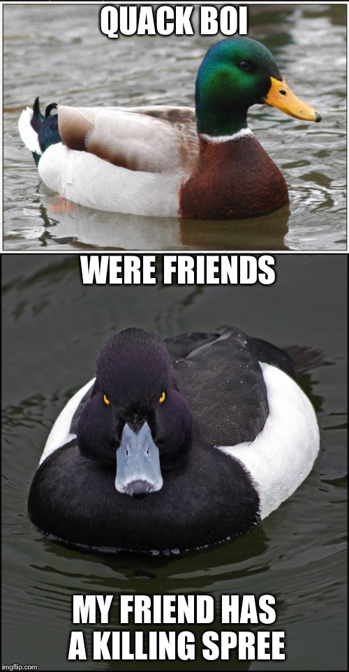QUACK BOI; WERE FRIENDS; MY FRIEND HAS A KILLING SPREE | image tagged in memes,actual advice mallard,angry duck | made w/ Imgflip meme maker