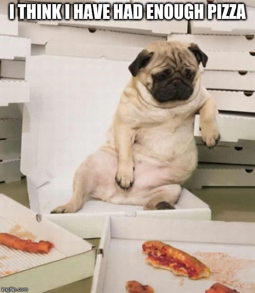 I THINK I HAVE HAD ENOUGH PIZZA | image tagged in food,fun,puppies | made w/ Imgflip meme maker