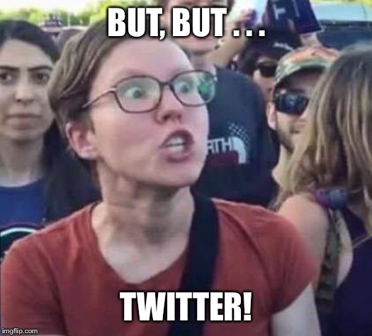 Angry Liberal | BUT, BUT . . . TWITTER! | image tagged in angry liberal | made w/ Imgflip meme maker