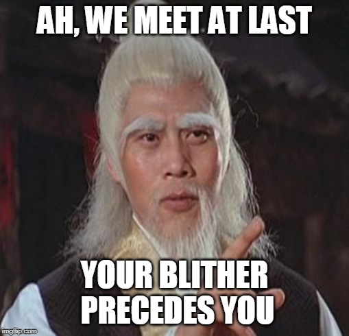 Wise Kung Fu Master | AH, WE MEET AT LAST; YOUR BLITHER PRECEDES YOU | image tagged in wise kung fu master | made w/ Imgflip meme maker