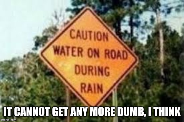 IT CANNOT GET ANY MORE DUMB, I THINK | image tagged in fun,funny signs | made w/ Imgflip meme maker