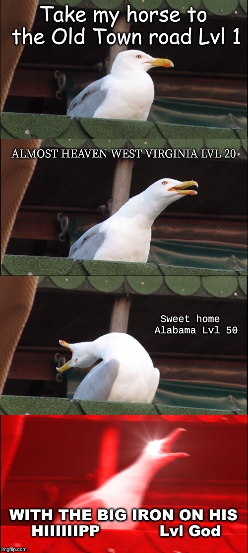 Famous country music by level (Very accurate) | Take my horse to the Old Town road Lvl 1; ALMOST HEAVEN WEST VIRGINIA LVL 20; Sweet home  Alabama Lvl 50; WITH THE BIG IRON ON HIS HIIIIIIPP 










Lvl God | image tagged in memes,inhaling seagull | made w/ Imgflip meme maker