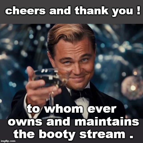 carpel tunnel nerve fire or not. thanks guys !!! | cheers and thank you ! to whom ever owns and maintains the booty stream . | image tagged in memes,leonardo dicaprio cheers,imgflip streams,internet guide,meme me | made w/ Imgflip meme maker