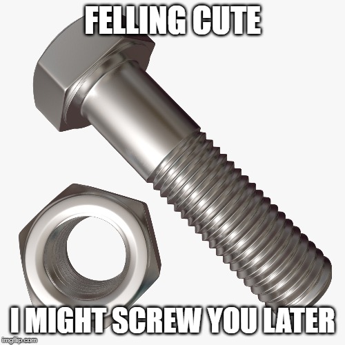 FELLING CUTE; I MIGHT SCREW YOU LATER | image tagged in felt cute | made w/ Imgflip meme maker