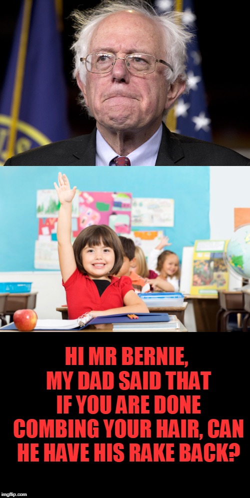 worse than trumps | HI MR BERNIE, MY DAD SAID THAT IF YOU ARE DONE COMBING YOUR HAIR, CAN HE HAVE HIS RAKE BACK? | image tagged in bernie sanders,student raise hand,bad hair | made w/ Imgflip meme maker