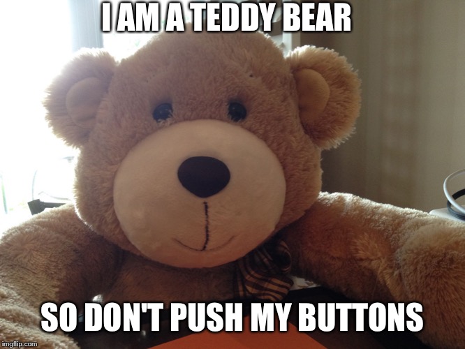 Teddy Bear | I AM A TEDDY BEAR; SO DON'T PUSH MY BUTTONS | image tagged in teddy bear | made w/ Imgflip meme maker