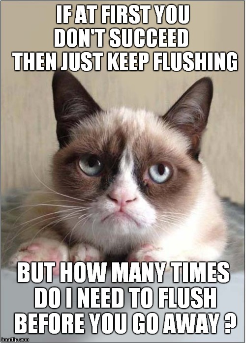 Grumpys Tough Flush | IF AT FIRST YOU DON'T SUCCEED

 THEN JUST KEEP FLUSHING; BUT HOW MANY TIMES DO I NEED TO FLUSH BEFORE YOU GO AWAY ? | image tagged in cats,grumpy cat | made w/ Imgflip meme maker