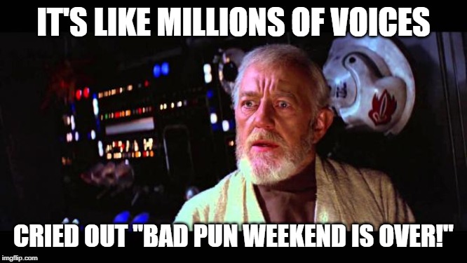 obi wan million voices | IT'S LIKE MILLIONS OF VOICES CRIED OUT "BAD PUN WEEKEND IS OVER!" | image tagged in obi wan million voices | made w/ Imgflip meme maker