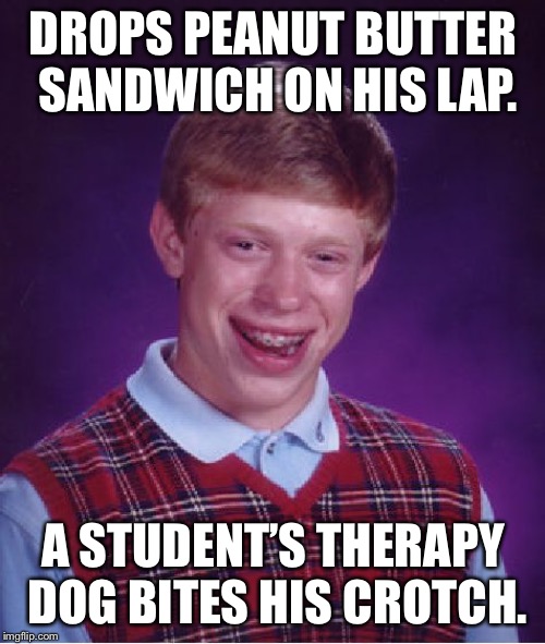 Better get a peanut butter “cup” | DROPS PEANUT BUTTER SANDWICH ON HIS LAP. A STUDENT’S THERAPY DOG BITES HIS CROTCH. | image tagged in memes,bad luck brian,peanut butter,school,dog,pain | made w/ Imgflip meme maker