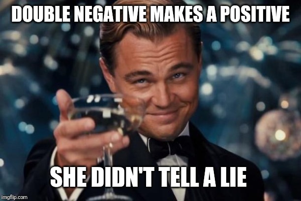 Leonardo Dicaprio Cheers Meme | DOUBLE NEGATIVE MAKES A POSITIVE SHE DIDN'T TELL A LIE | image tagged in memes,leonardo dicaprio cheers | made w/ Imgflip meme maker
