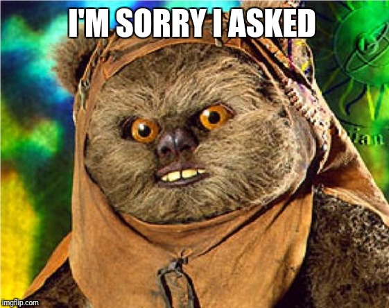 Angry Ewok | I'M SORRY I ASKED | image tagged in angry ewok | made w/ Imgflip meme maker