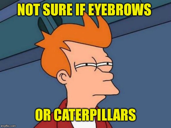 Futurama Fry Meme | NOT SURE IF EYEBROWS OR CATERPILLARS | image tagged in memes,futurama fry | made w/ Imgflip meme maker