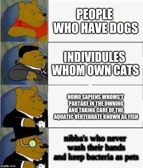 Tuxedo Winnie the Pooh 4 panel | PEOPLE WHO HAVE DOGS; INDIVIDULES WHOM OWN CATS; HOMO SAPIENS WHOMS'T PARTAKE IN THE OWNING AND TAKING CARE OF THE AQUATIC VERTEBRATE KNOWN AS FISH; nibba's who never wash their hands and keep bacteria as pets | image tagged in tuxedo winnie the pooh 4 panel | made w/ Imgflip meme maker
