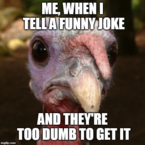 Gobble gobble whatever | ME, WHEN I TELL A FUNNY JOKE; AND THEY'RE TOO DUMB TO GET IT | image tagged in gobble gobble whatever | made w/ Imgflip meme maker