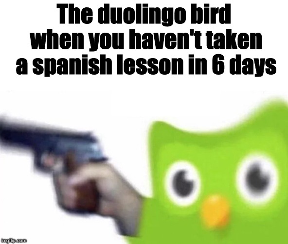 You know this meme is going viral! TAKE YOUR SPANISH LESSON. | The duolingo bird when you haven't taken a spanish lesson in 6 days | image tagged in duolingo gun,memes,lmao,run | made w/ Imgflip meme maker