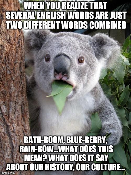 Combined Words | WHEN YOU REALIZE THAT SEVERAL ENGLISH WORDS ARE JUST TWO DIFFERENT WORDS COMBINED; BATH-ROOM, BLUE-BERRY, RAIN-BOW...WHAT DOES THIS MEAN? WHAT DOES IT SAY ABOUT OUR HISTORY, OUR CULTURE... | image tagged in memes,surprised koala,english,language,koala | made w/ Imgflip meme maker