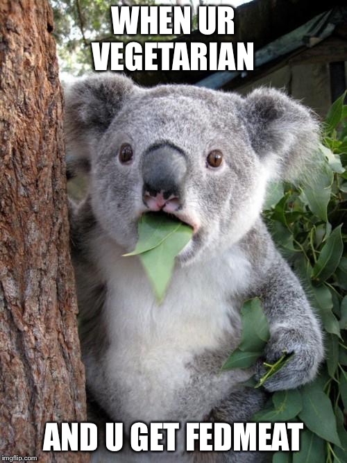Accidental Meat Consumption | WHEN UR VEGETARIAN; AND U GET FEDMEAT | image tagged in memes,surprised koala | made w/ Imgflip meme maker