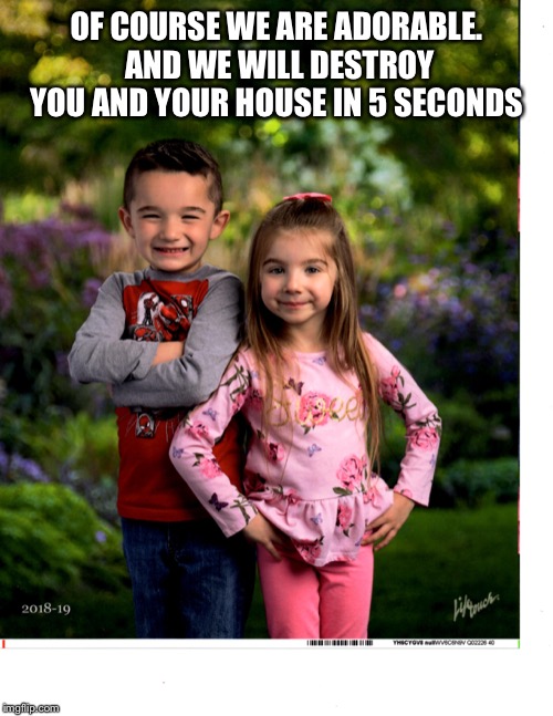 Destroy | OF COURSE WE ARE ADORABLE. AND WE WILL DESTROY YOU AND YOUR HOUSE IN 5 SECONDS | image tagged in cute | made w/ Imgflip meme maker