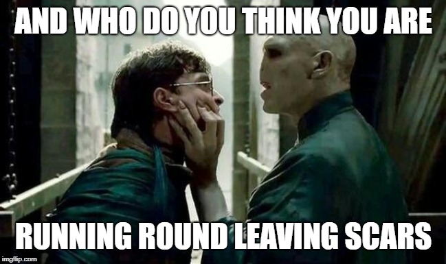 Voldemort and Harry | AND WHO DO YOU THINK YOU ARE; RUNNING ROUND LEAVING SCARS | image tagged in voldemort and harry | made w/ Imgflip meme maker