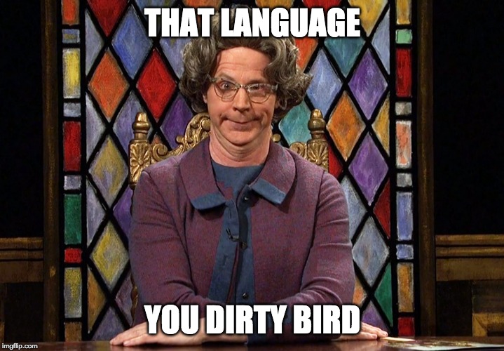 The Church Lady | THAT LANGUAGE YOU DIRTY BIRD | image tagged in the church lady | made w/ Imgflip meme maker