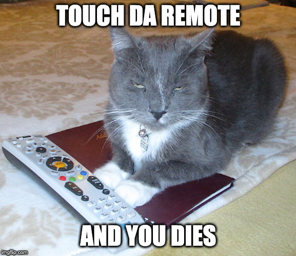 Holly's Remote | TOUCH DA REMOTE; AND YOU DIES | image tagged in holly's remote | made w/ Imgflip meme maker