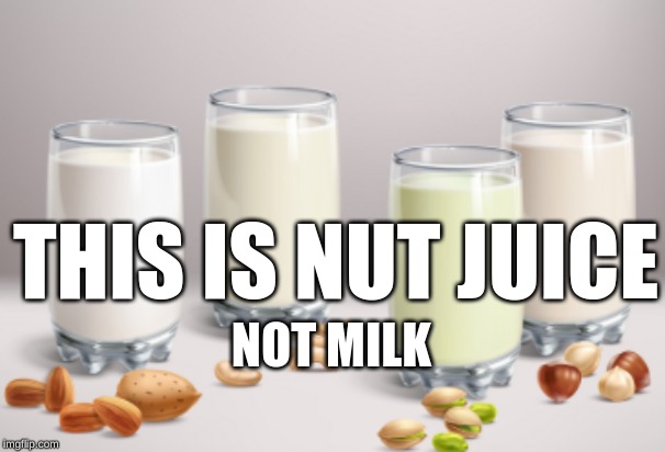  THIS IS NUT JUICE; NOT MILK | image tagged in vegan milk | made w/ Imgflip meme maker