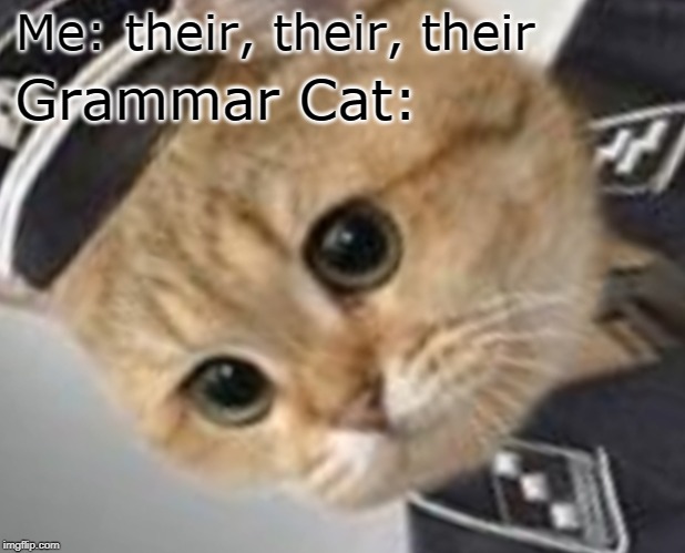 Unsettled Grammar Cat | Me: their, their, their; Grammar Cat: | image tagged in unsettled grammar cat,memes | made w/ Imgflip meme maker